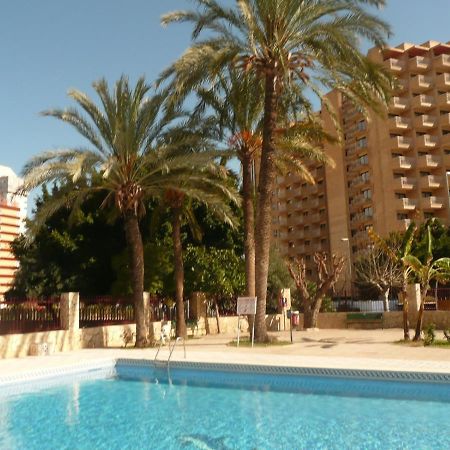 Moby Dick 6C Lägenhet Benidorm Exteriör bild